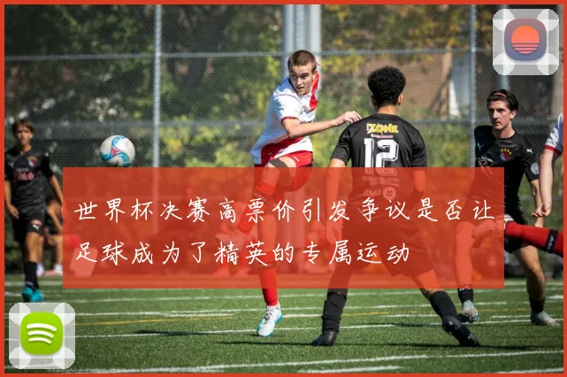 世界杯决赛高票价引发争议是否让足球成为了精英的专属运动